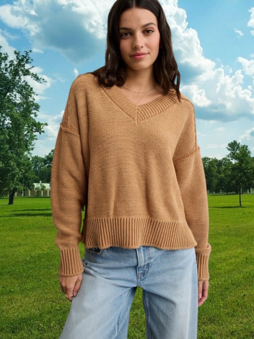 NEW!!! AMERICAN EAGLE COLOR COGNAC V-NECK 100% COTTON SWEATER - SIZE L